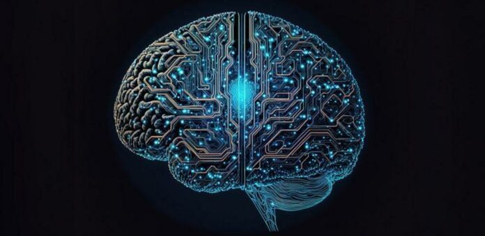 AI system self-organizes to develop features of brains of complex organisms