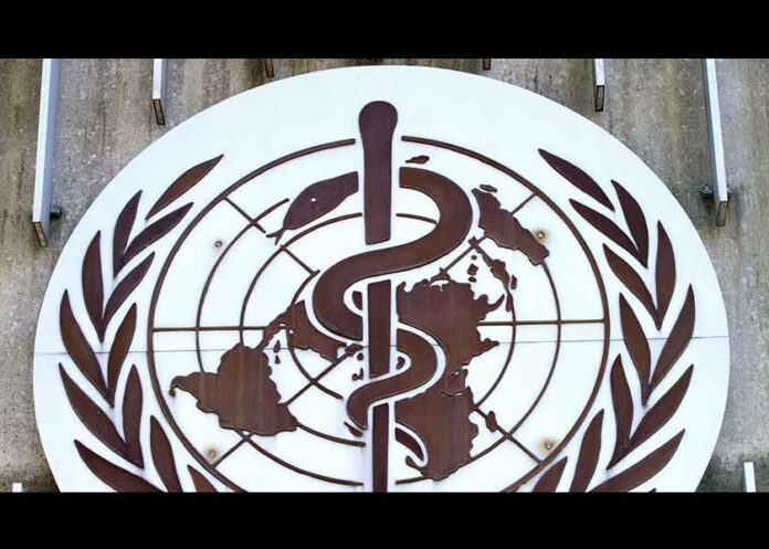 Geneva: The Head of the Snake