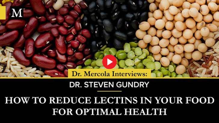 Dr. Steven Gundry How to Reduce Lectins in Your Food