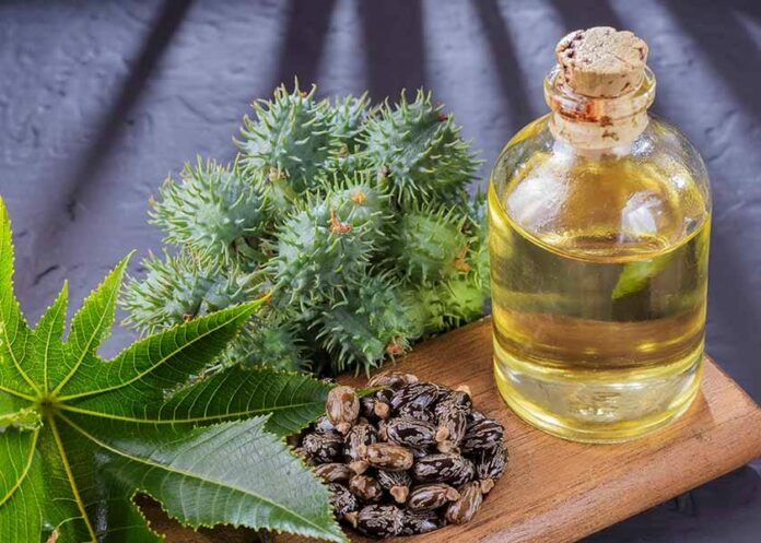 Practical Reasons to Stock a Bottle of Castor Oil at Home