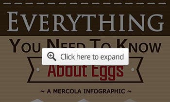 eggs nutrition facts