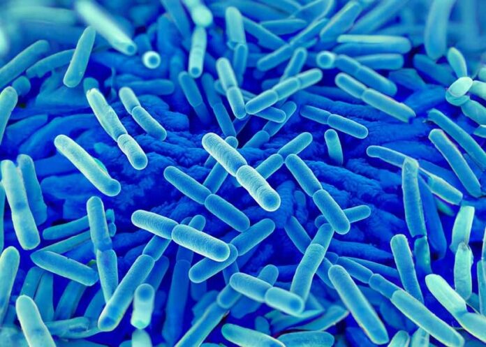 How Lactobacillus Protects Your Health
