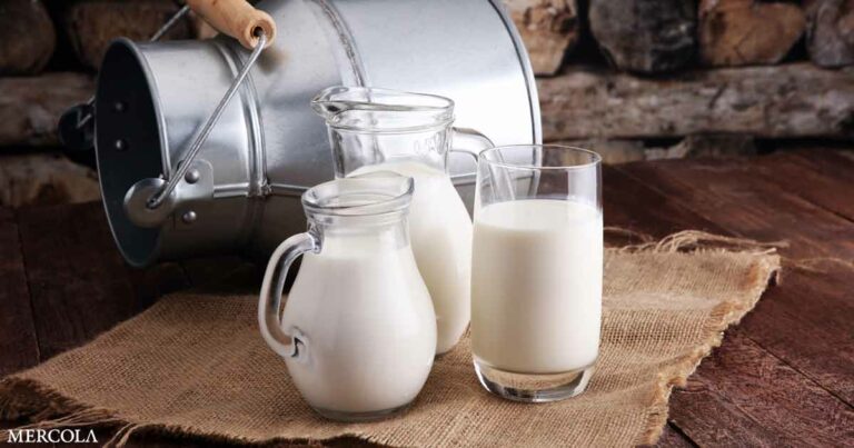 Major Shift About Whole Milk — Now a Health Food?