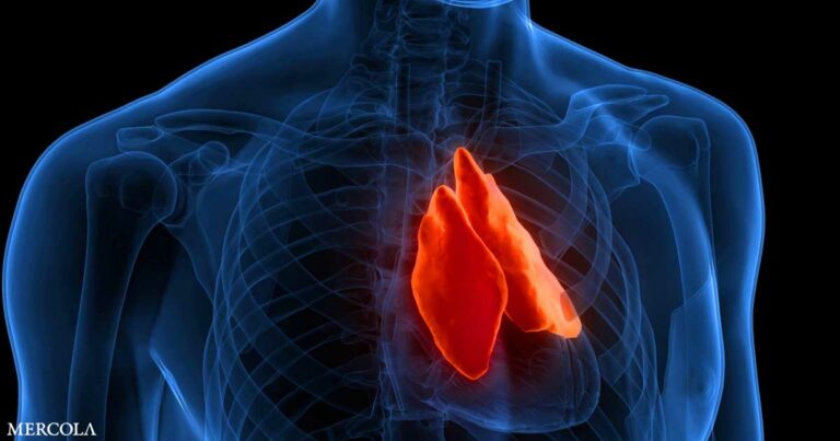 Could Your Thymus Be the Key to Fighting Cancer?