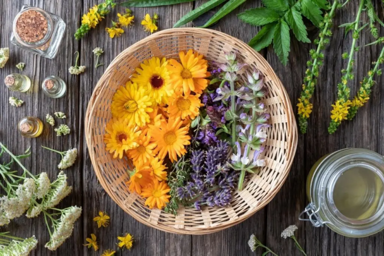 30 plus medicinal flowers (and how to use them)