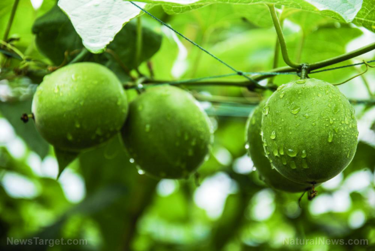Health benefits of switching to a natural sweetener like monk fruit