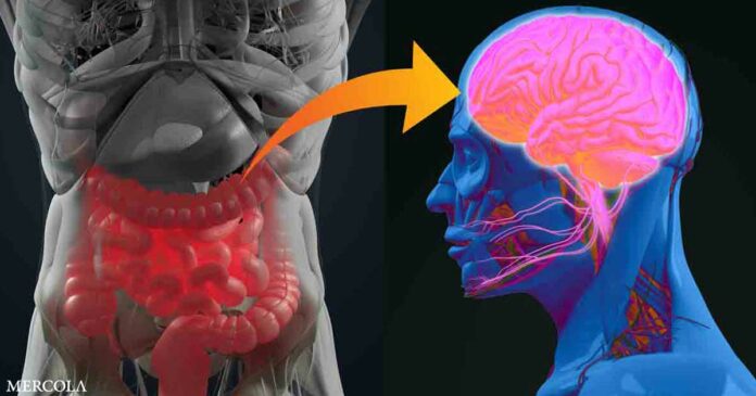 Research Shows Parkinson's Disease Origins in the Gut