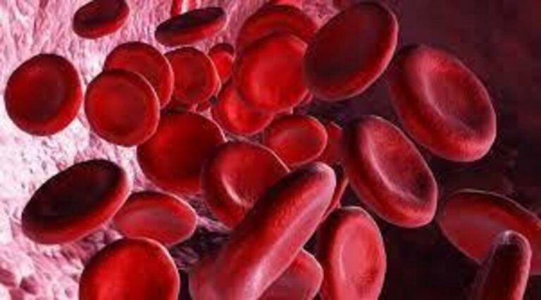 Study links popular blood thinner to heightened risk of bleeding issues