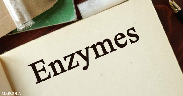 The Importance of Enzymes for Health, Longevity and Chronic Disease Prevention