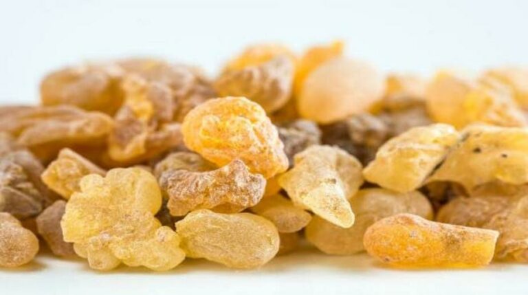 The medicinal and spiritual benefits of frankincense