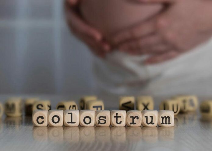 What Are the Wide-Ranging Health Benefits of Colostrum?