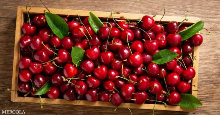 Cherries — A Potent Super Food