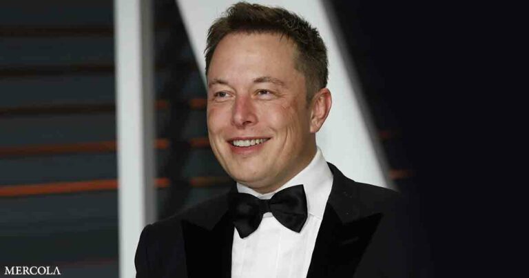 Elon Musk Introduces First Human Brain Implant