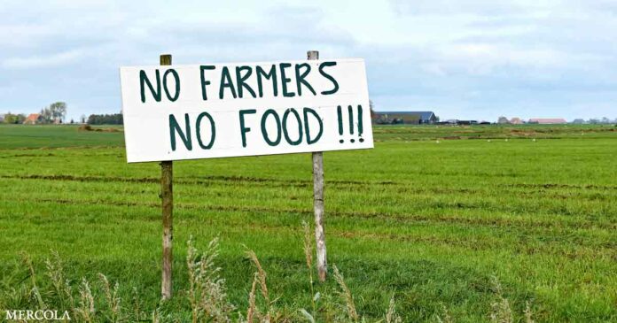 Nitrogen 2000 — The Dutch Farmer Struggle