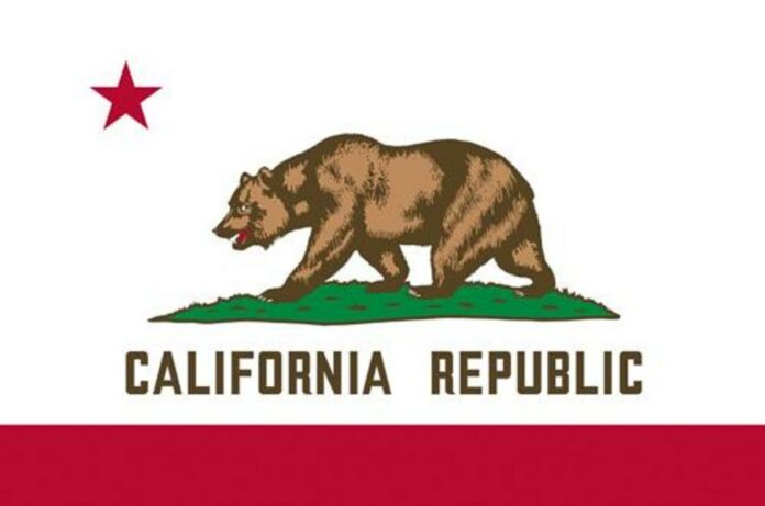 Scuzzball Newsom digs a much deeper hole for California: free healthcare for illegal aliens