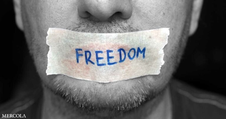 When Freedom of Speech Is No Longer Free