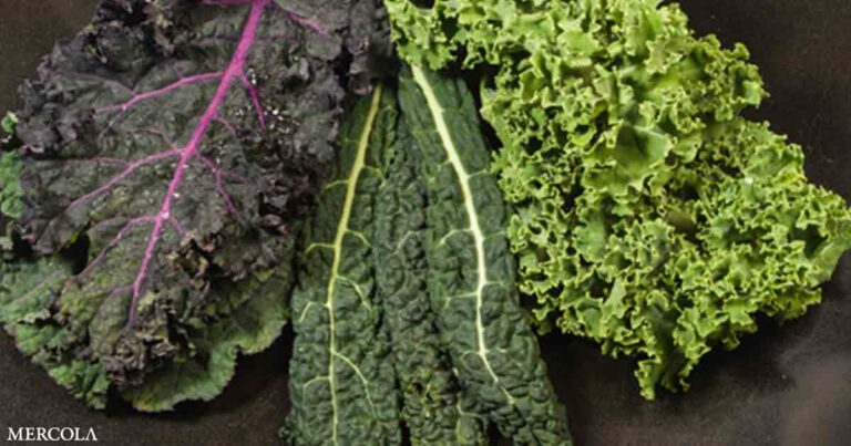 Forever Chemicals Found in 88% of Kale Tested
