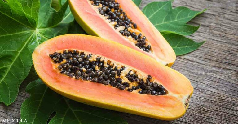 How Papaya Can Help Your Gut