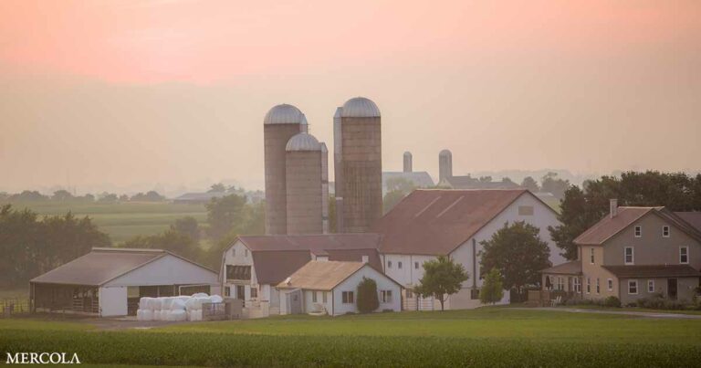 Amish Farmer Raided by Pennsylvania Department of Agriculture