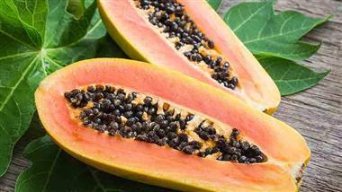 papaya gut health