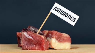 antibiotics in food