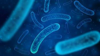 co2 making probiotics