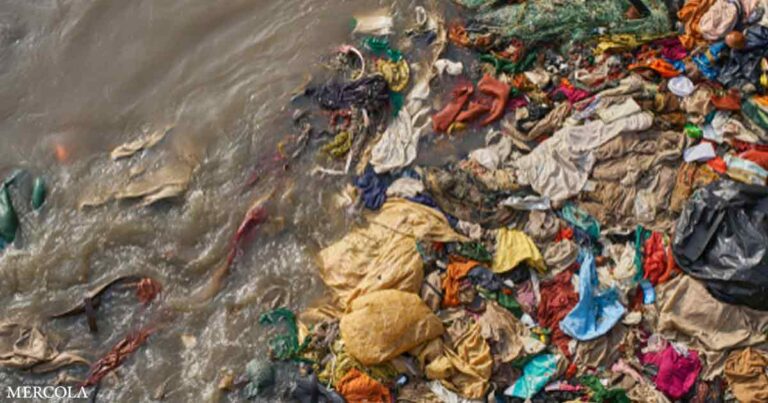 How Clothes Are Polluting the Food Supply