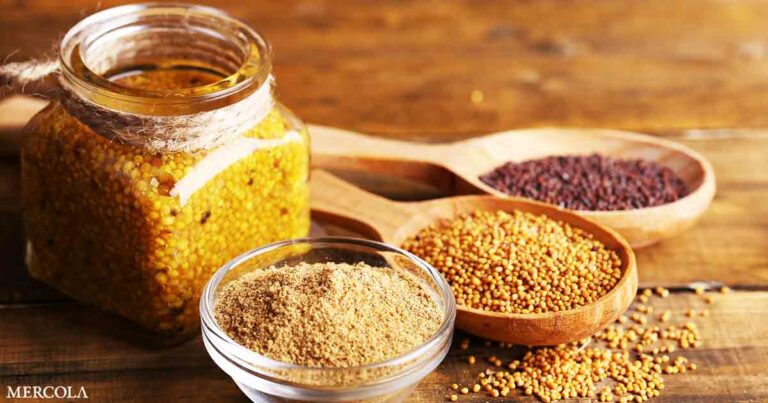 Why Organic Mustard Seed Powder Is an Essential Kitchen Staple