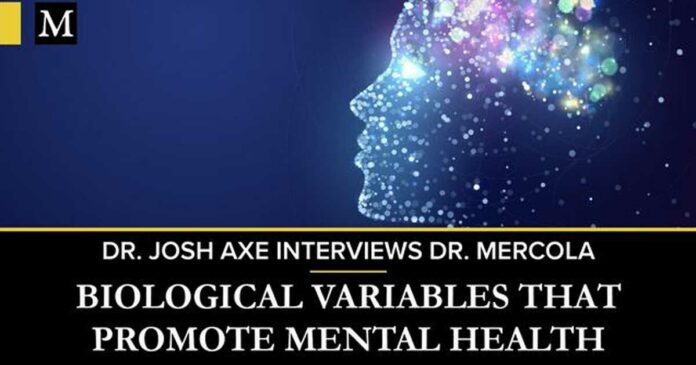 Exploring the Biological Variables That Promote Mental Health