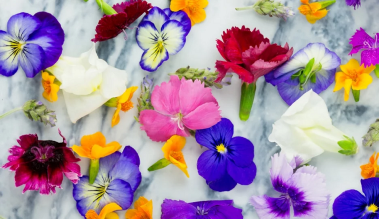 A beginner’s guide to using florals and botanicals to boost sleep and fight inflammation