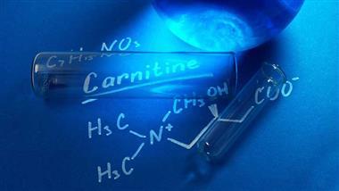 what do l carnitine supplements really do