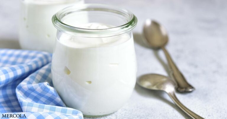 Benefits of Homemade Yogurt Versus Commercial