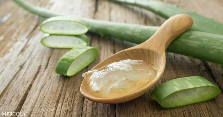 What Is Aloe Vera Good For?