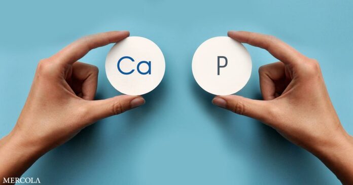 How Your Calcium-to-Phosphorus Impacts Your Health