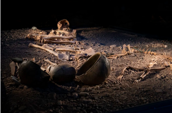 Bacterial diseases were a lethal threat during the Stone Age