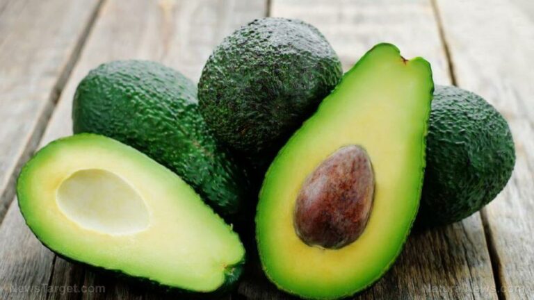 For the old-timers: keep your brain sharp by eating one avocado every day