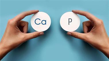 calcium phosphorus ratio