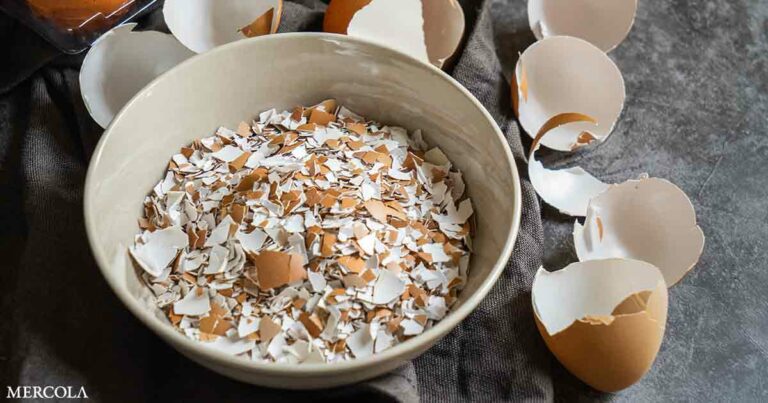 Is Eating Eggshells Beneficial?