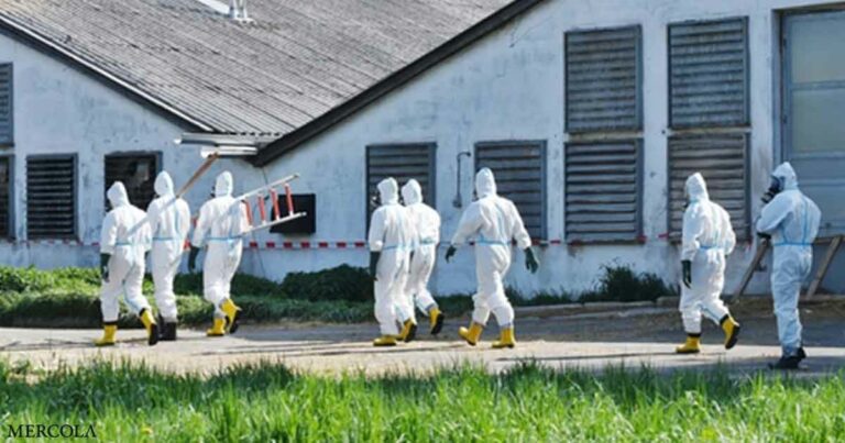 Scientists Warn Bird Flu Outbreak Could Be 100 Times Worse Than COVID