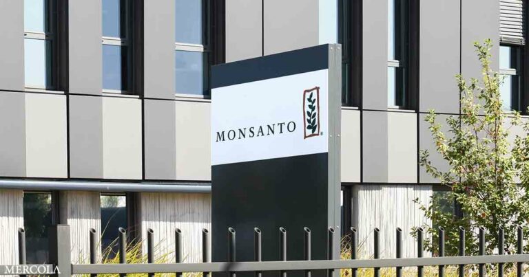 Maine Attorney General Sues Monsanto Over PCB Contamination