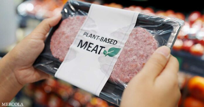 Beyond Impossible — The Truth Behind the Fake Meat Industry
