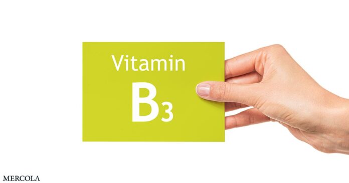 Vitamin B3 Boosts Muscle Mass, Improves Glucose Control