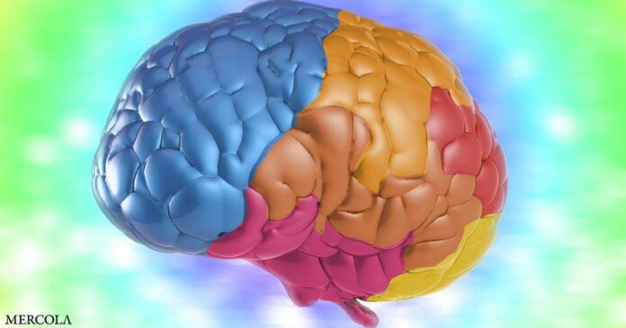 ‘Strong and Consistent Evidence’ Links Multivitamins to Memory and Cognitive Benefits