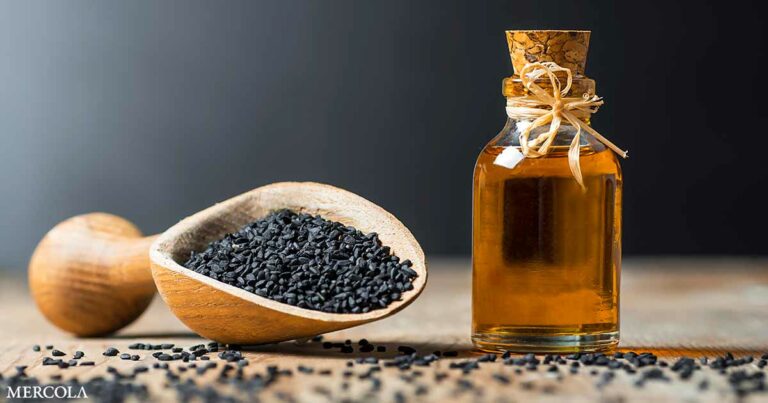 Black Seed Oil — A Natural Ally in Maintaining Disease-Free Living