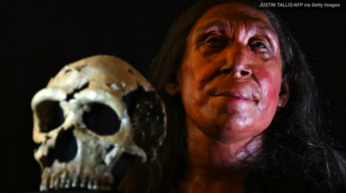 Face of a 75,000-year-old Neanderthal woman revealed by scientists
