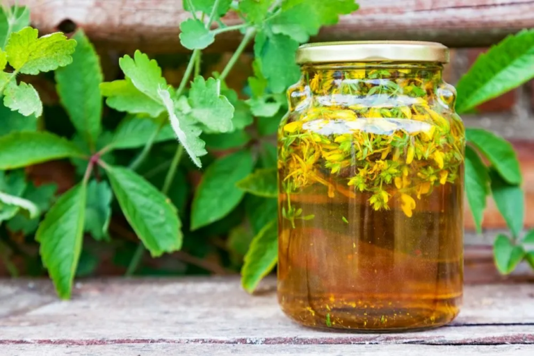 How to make herb infused oils and three recipes to try