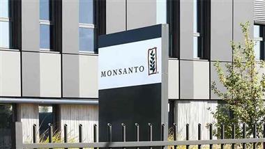 monsanto pcb contamination