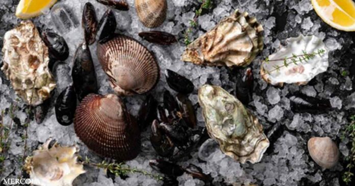Are You Eating Shellfish Contaminated With This Paralysis-Causing Toxin?