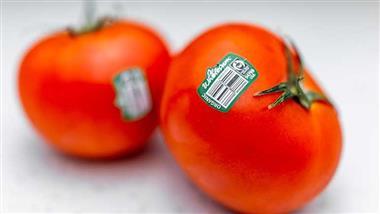 price look up codes produce