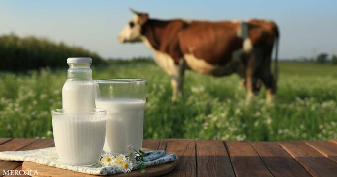 Win for Raw Milk Supporters Despite Controversy